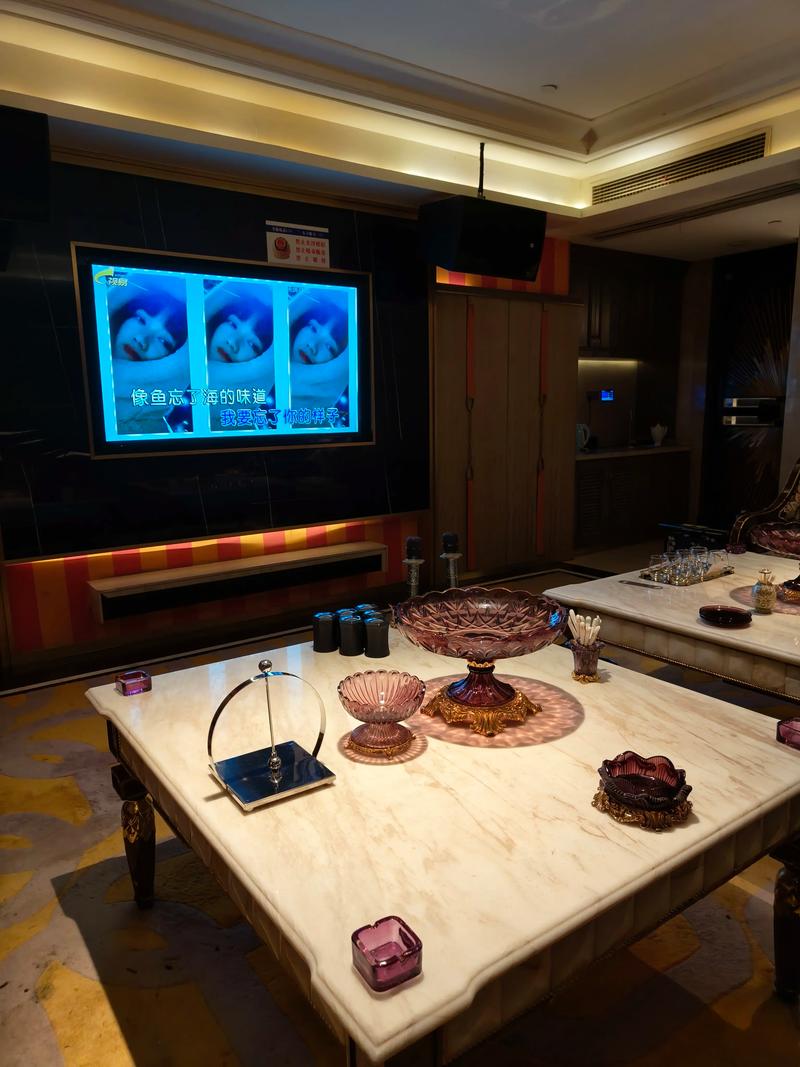 石家庄商务ktv哪里好玩推荐-赞皇县ktv预定